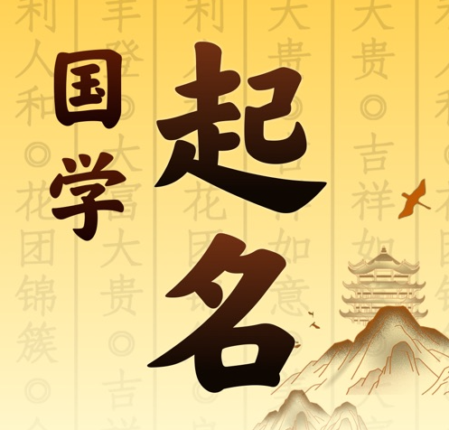 小金国学起名 人工起名一对一
